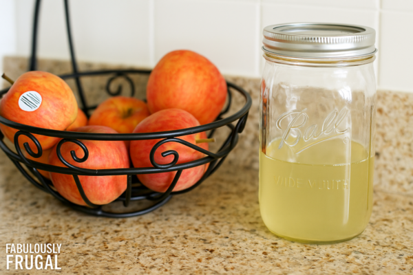 diy fly catcher on counter top with bowl of fruit and fabulesslyfrugal.com branding