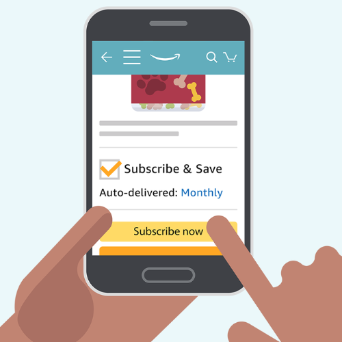 Cheap Amazon Subscribe and Save Items
