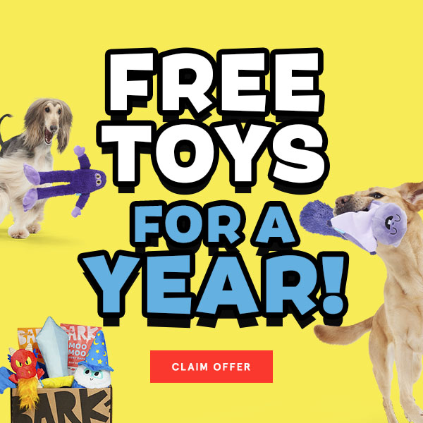 BarkBox subscription box free toys for a year