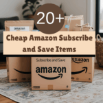 cheap amazon subscribe and save items