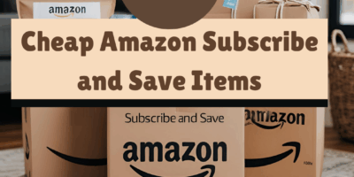 cheap amazon subscribe and save items